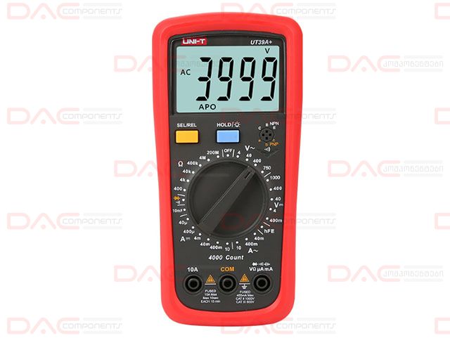 Qizlar orqasidan mushuk